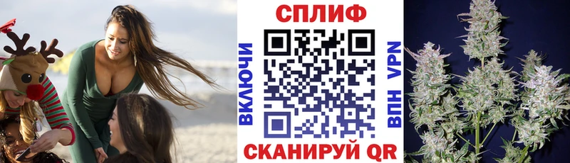 Где продают наркотики Вичуга Канабис  COCAIN  Alpha-PVP  МЕТАМФЕТАМИН  ГАШИШ 