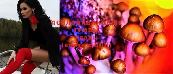 MDMA Белокуриха