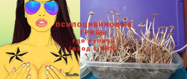 MDMA Белокуриха