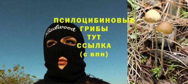 MDMA Белокуриха