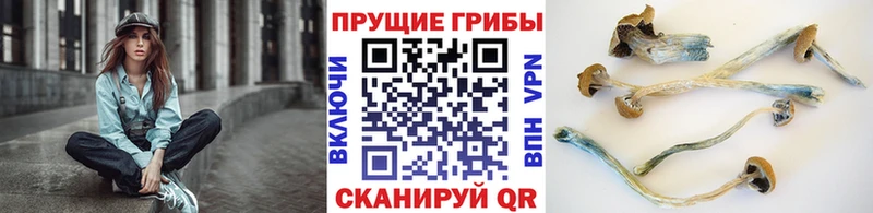 Галлюциногенные грибы ЛСД  omg tor  Вичуга 